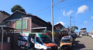 Prefeitura de BH esporotricose