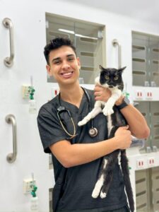 Mudanças na Medicina Veterinária alteram a forma como os médicos-veterinários se comunicam