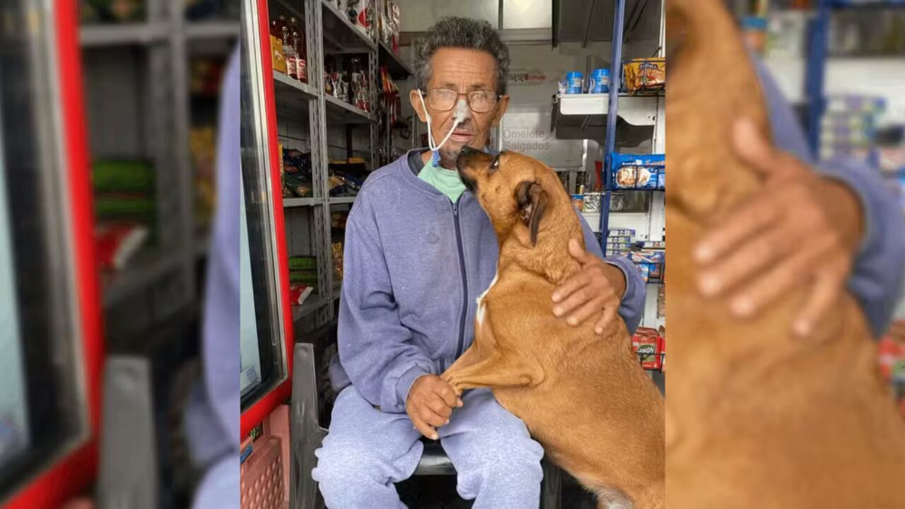 Reencontro emocionante: cadela faz visita surpresa a responsável internado no interior de SP