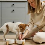 Referências da gastronomia brasileira inspiram o desenvolvimento de novos alimentos para cães