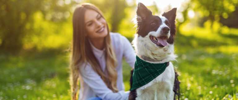 Saúde começa no intestino: entenda o papel dos simbióticos no bem-estar de cães e gatos
