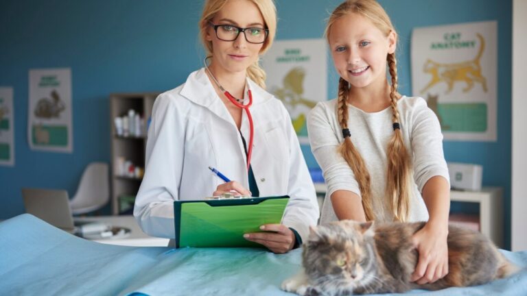 Toxoplasmose vai além dos gatos e exige cuidados com alimentos, água e higienização