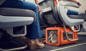 Transporte