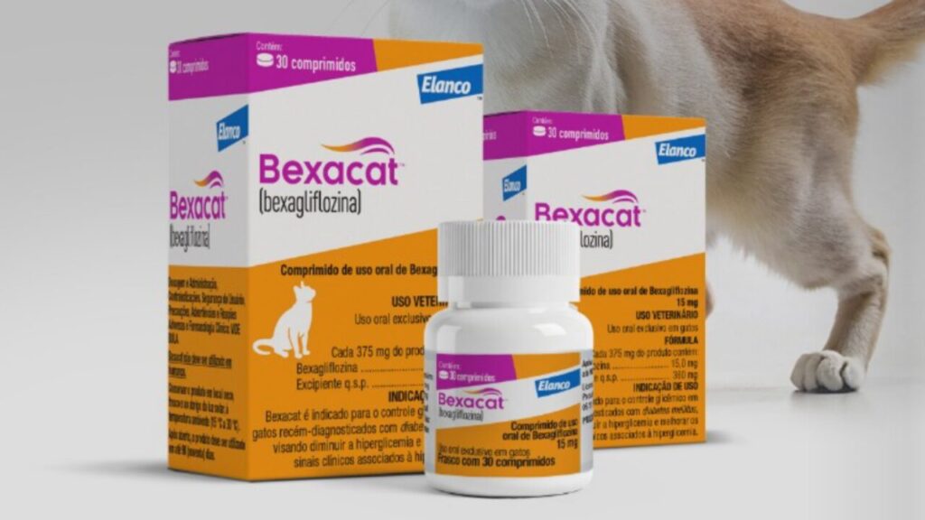 Uma nova era para o tratamento do diabetes mellitus felino