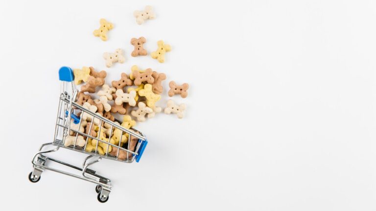 Varejo pet cresce mais de 50% nos aplicativos de entrega impulsionado pela busca por conveniência, sachês gourmet e itens de reposição rápida para cães
