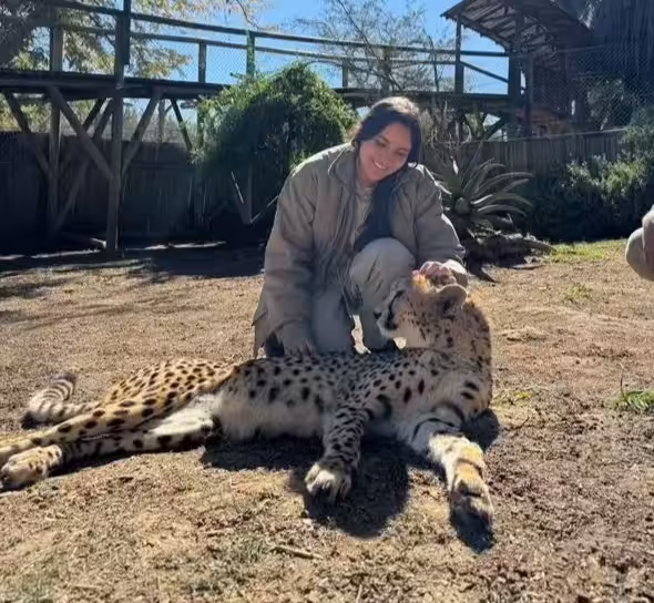 Com voluntariado na África veterinária transforma carreira