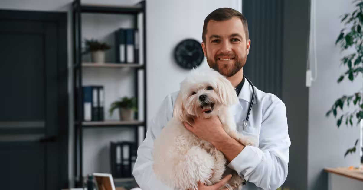 Diarreia bacteriana afeta cada vez mais cães e gatos, exigindo atenção e cuidados especializados