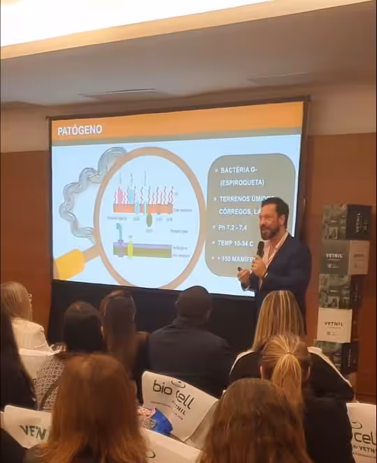 Ciclos de palestras na WSAVA 2025 destacam os principais desafios da Medicina Veterinária atual