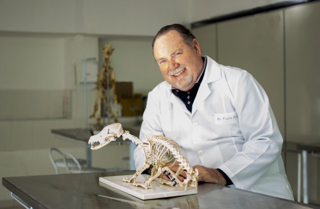 Qual é, de fato, a importância da saúde preventiva para os pets?