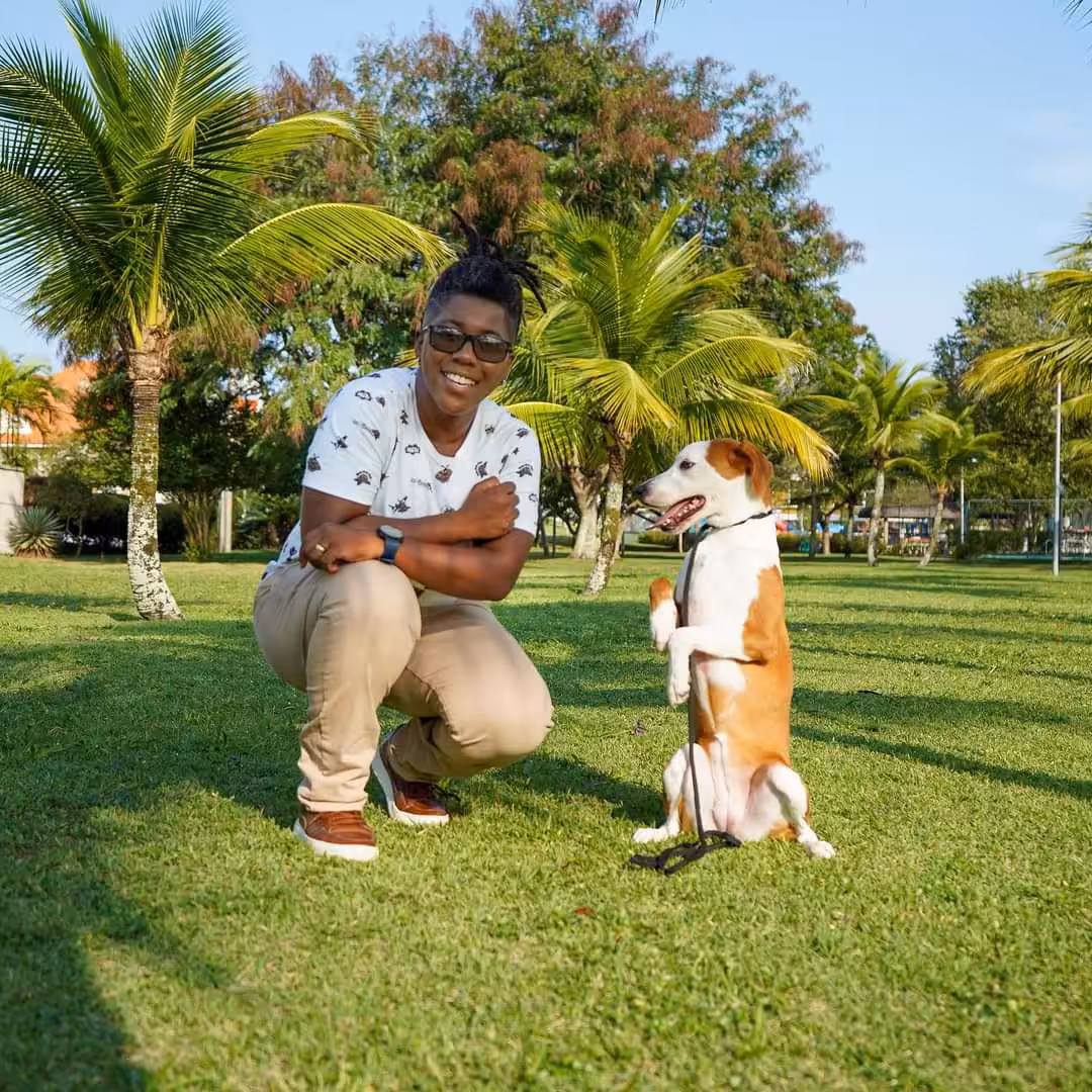 Educação de filhotes é base para cães bem-comportados e felizes
