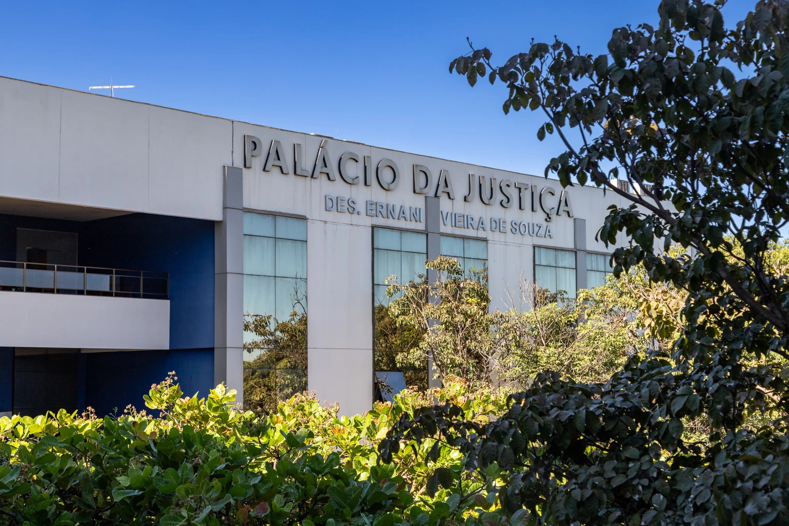 Justiça concede pensão a pets de casal que se separou
