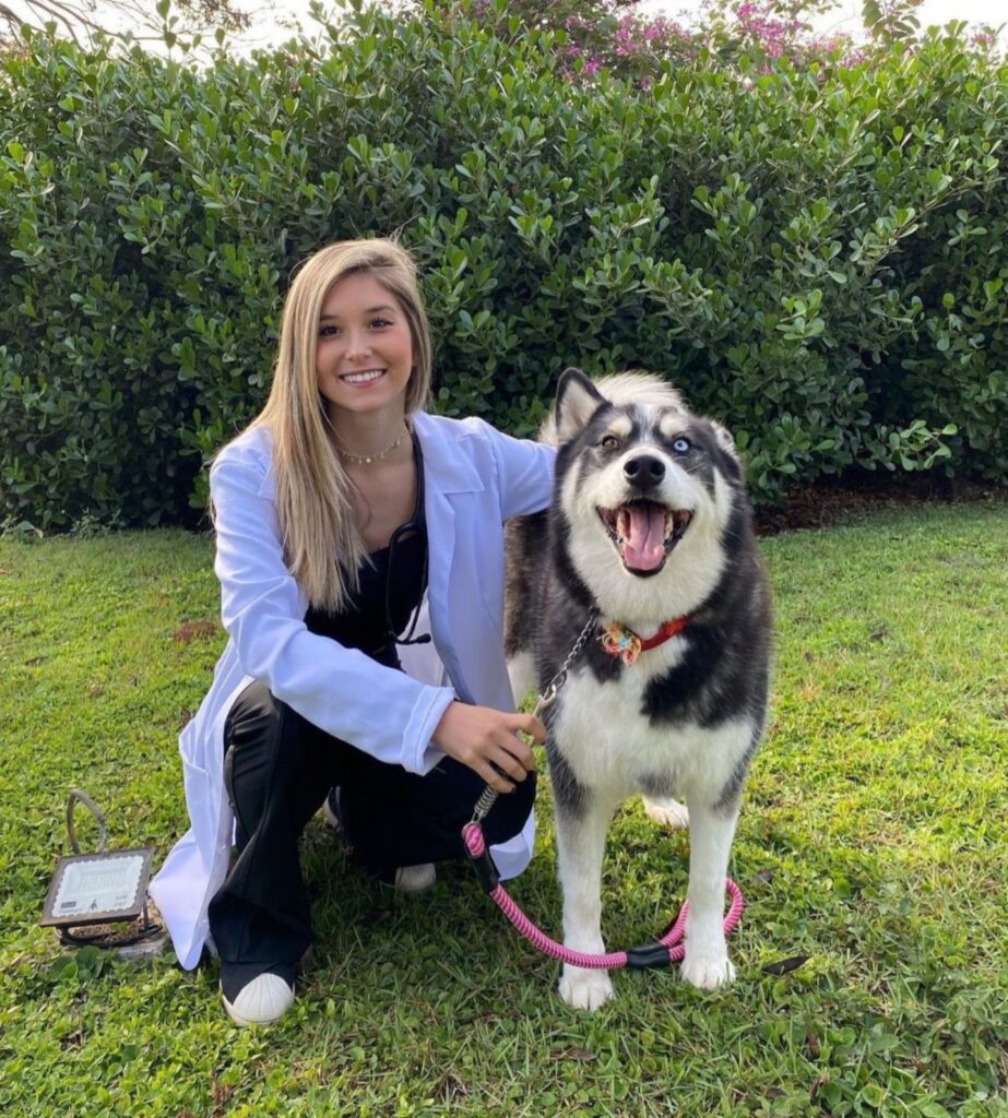 Médica-veterinária explica que a lama biliar é mais comum em cães do que em gatos