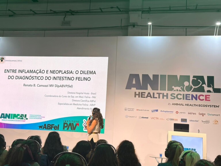 Debate sobre DII e linfoma intestinal em gatos ganha destaque no Animal Health 2026
