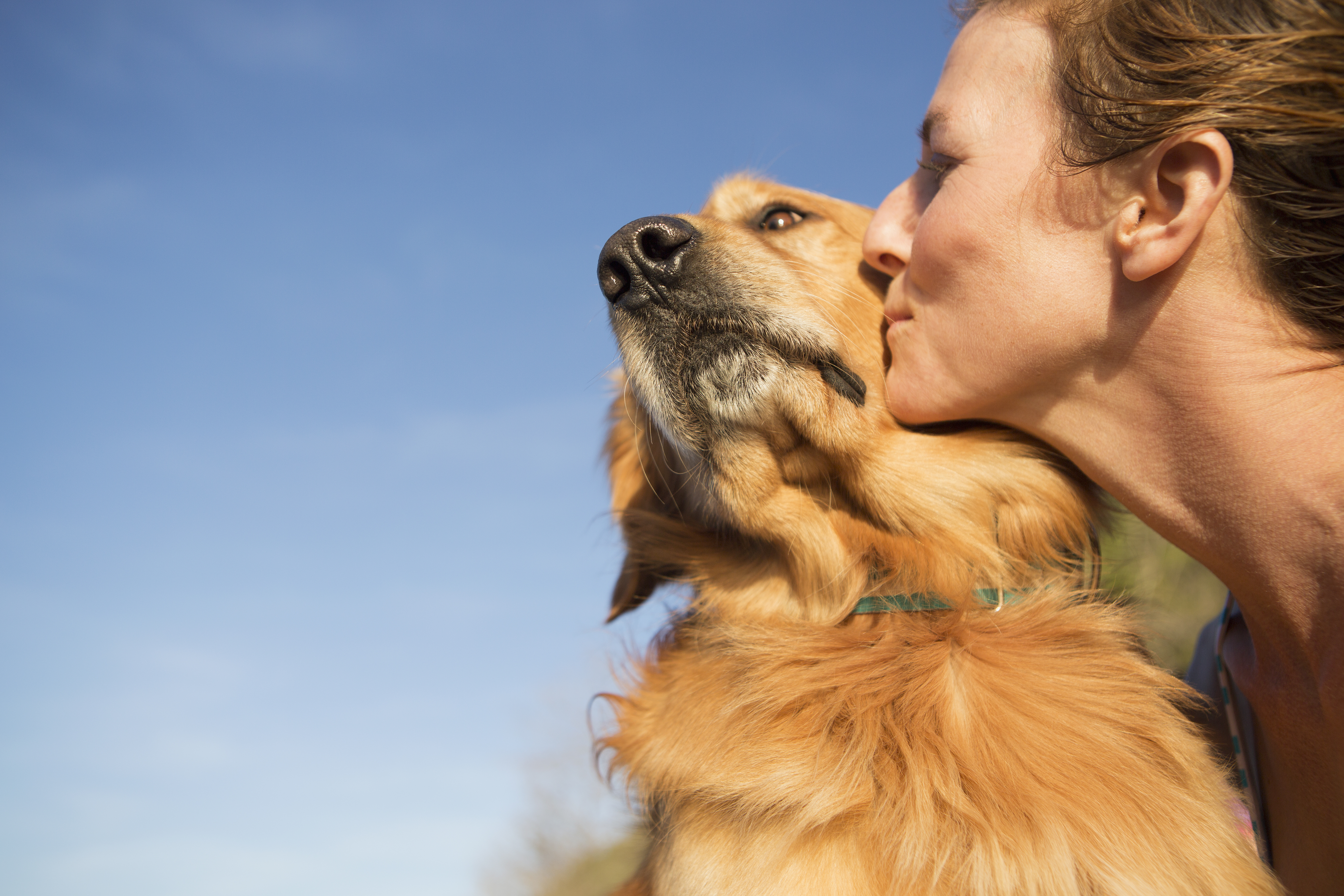 A woman kissing a pet dog on the cheek.