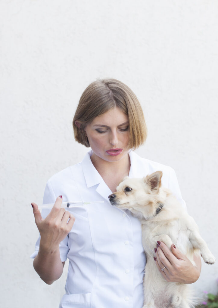 a young girl veterinarian is preparing to give a vaccine to a dog, a chihuahua