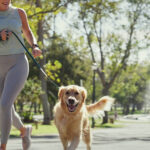 Treino com pets no Ibirapuera: ação conecta nutrição e performance canina