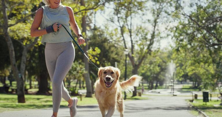 Treino com pets no Ibirapuera: ação conecta nutrição e performance canina