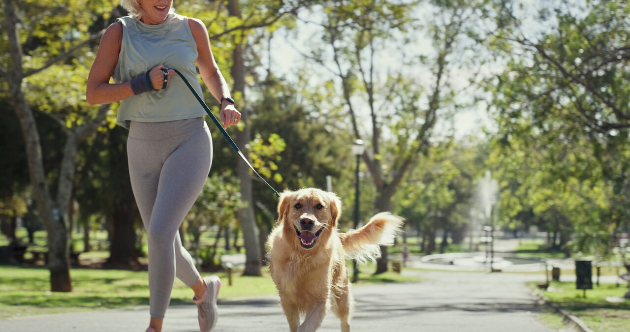 Treino com pets no Ibirapuera: ação conecta nutrição e performance canina
