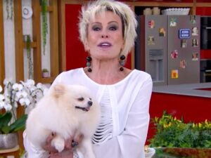De Taylor Swift a Nicole Bahls: pets de famosos que conquistam o público e dominam as redes