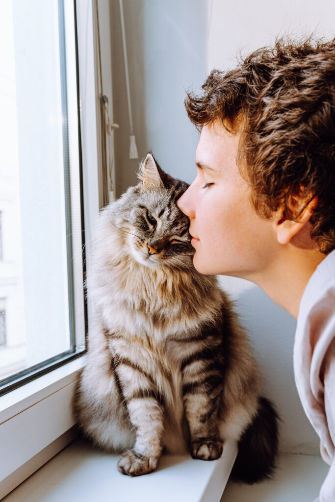 Attractive teenage girl next to beloved cat hugging while looking out window