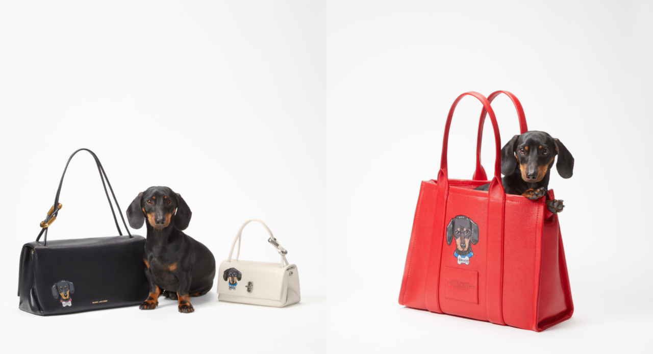 Marc Jacobs leva pets para a moda com bolsas personalizadas à mão