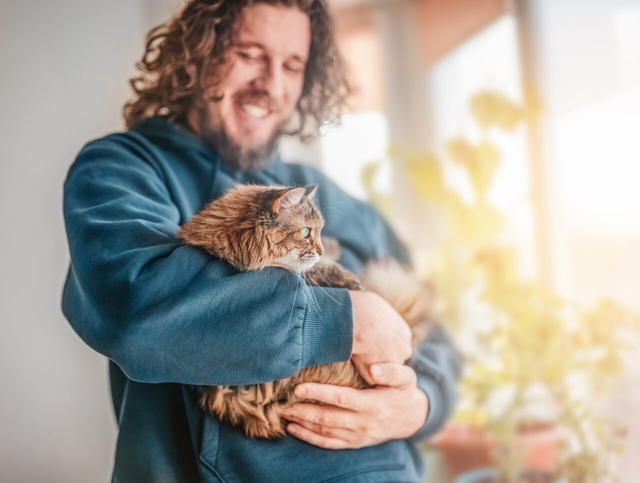 Por que os suplementos para gatos estão ganhando espaço no mercado pet? Entenda o que está por trás dessa tendência