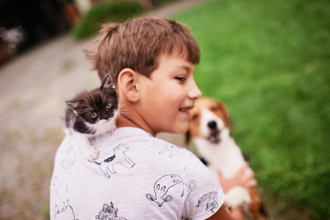 PL propõe educação sobre respeito aos animais nas escolas de SP