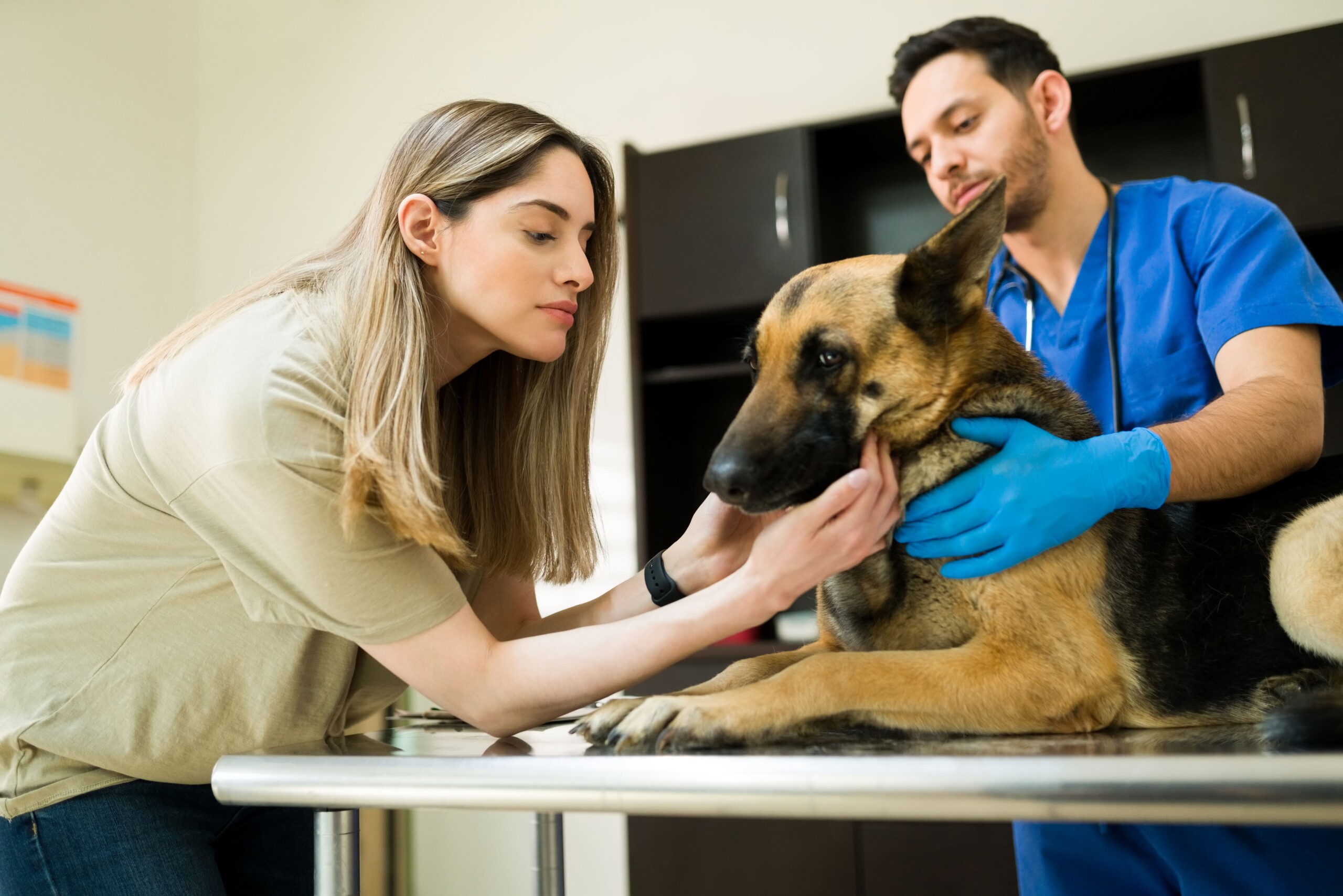 Pesquisa revela que 3 em cada 10 responsáveis nos EUA gastam mais com pets do que com a própria saúde