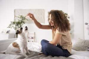 pet sitter