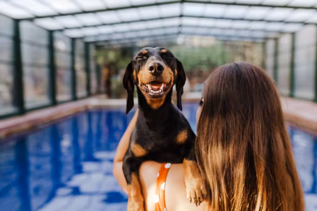 beautiful young woman relaxing in indoor swimming pool. Cute small sausage dog on shoulder. Summer