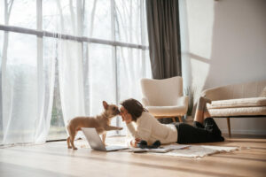 Bulldog dentro de um apartamento