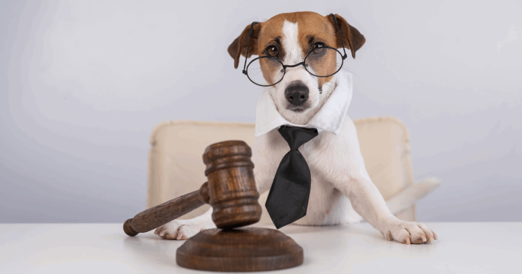 Pensão alimentícia: direitos vão além dos filhos e incluem até animais de estimação