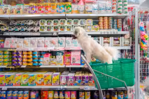 Pet food: transformando as prateleiras cheias em estratégias de crescimento