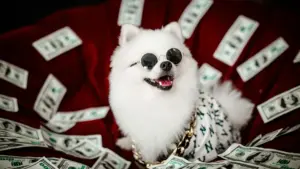 cachorro-rico