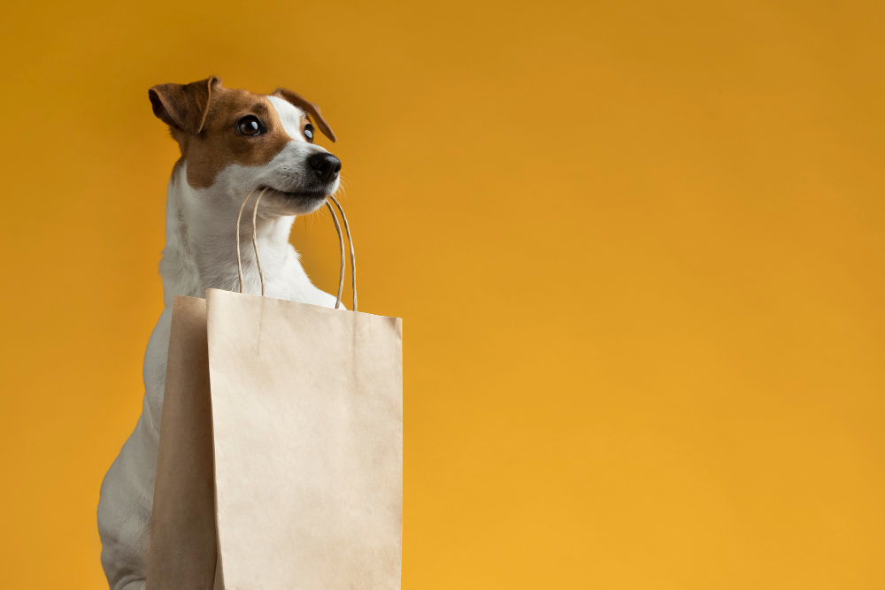 Delivery pet ganha espaço e transforma o consumo no setor animal