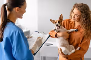 cachorro sendo atendido no veterinário