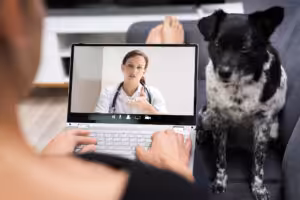 cachorro telemedicina