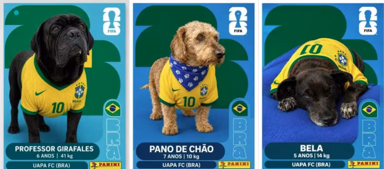 Vestidos de verde e amarelo, cães disputam o título mais importante: ganhar uma família