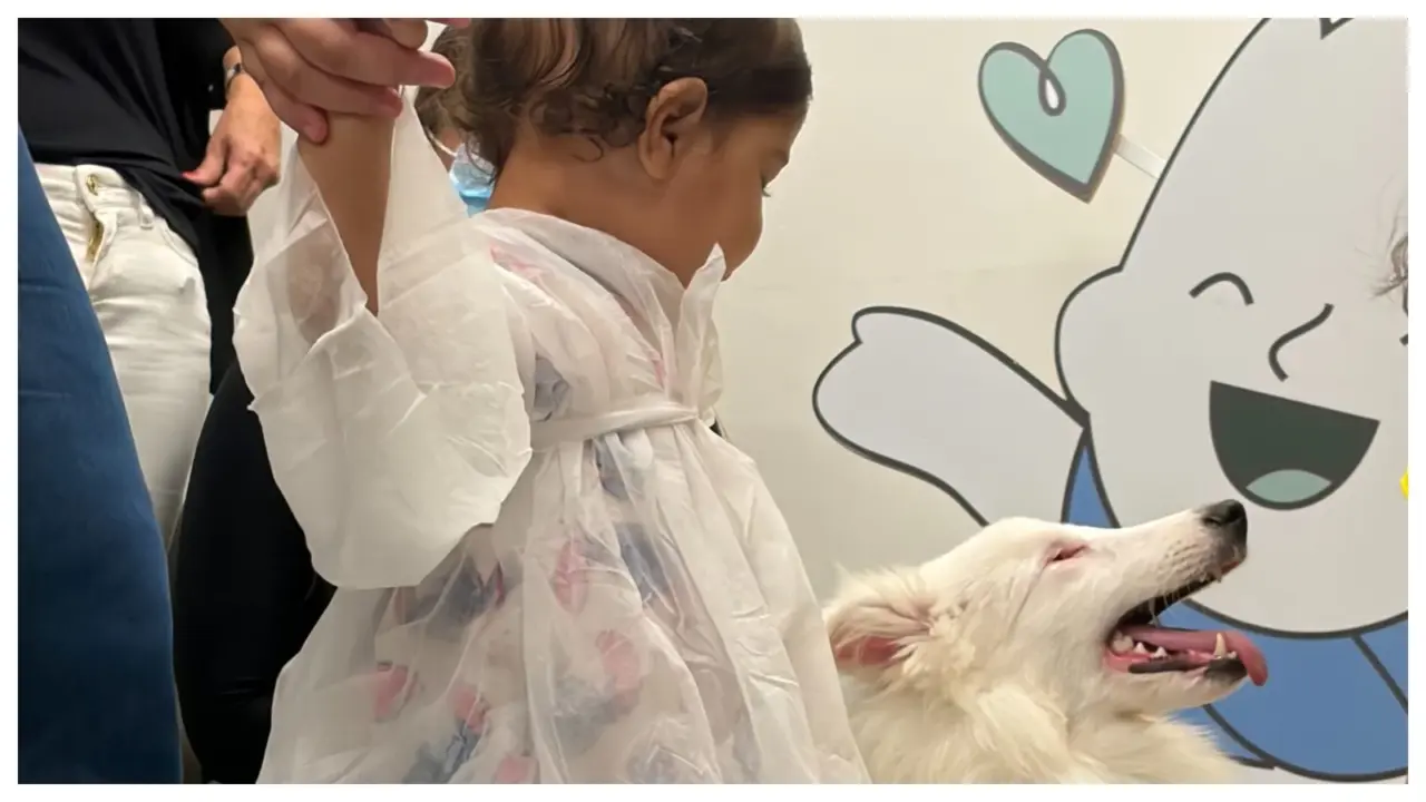 Cães resgatados levam conforto a crianças com câncer em projeto terapêutico