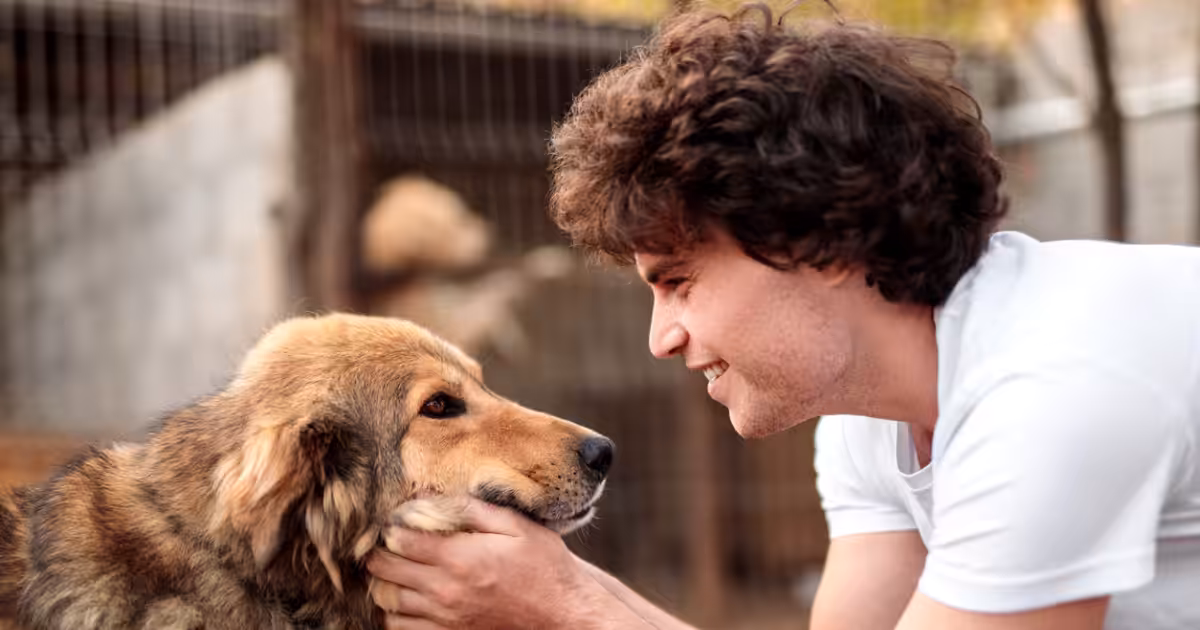 Lisboa lança projeto que promove inclusão social através do treino de cães abandonados