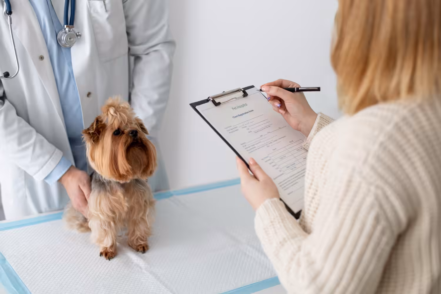 Estudo utiliza imunoterapia para humanos no tratamento de câncer em cães