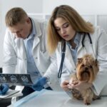 Tomografia e ressonância: quando cada exame oferece o melhor diagnóstico