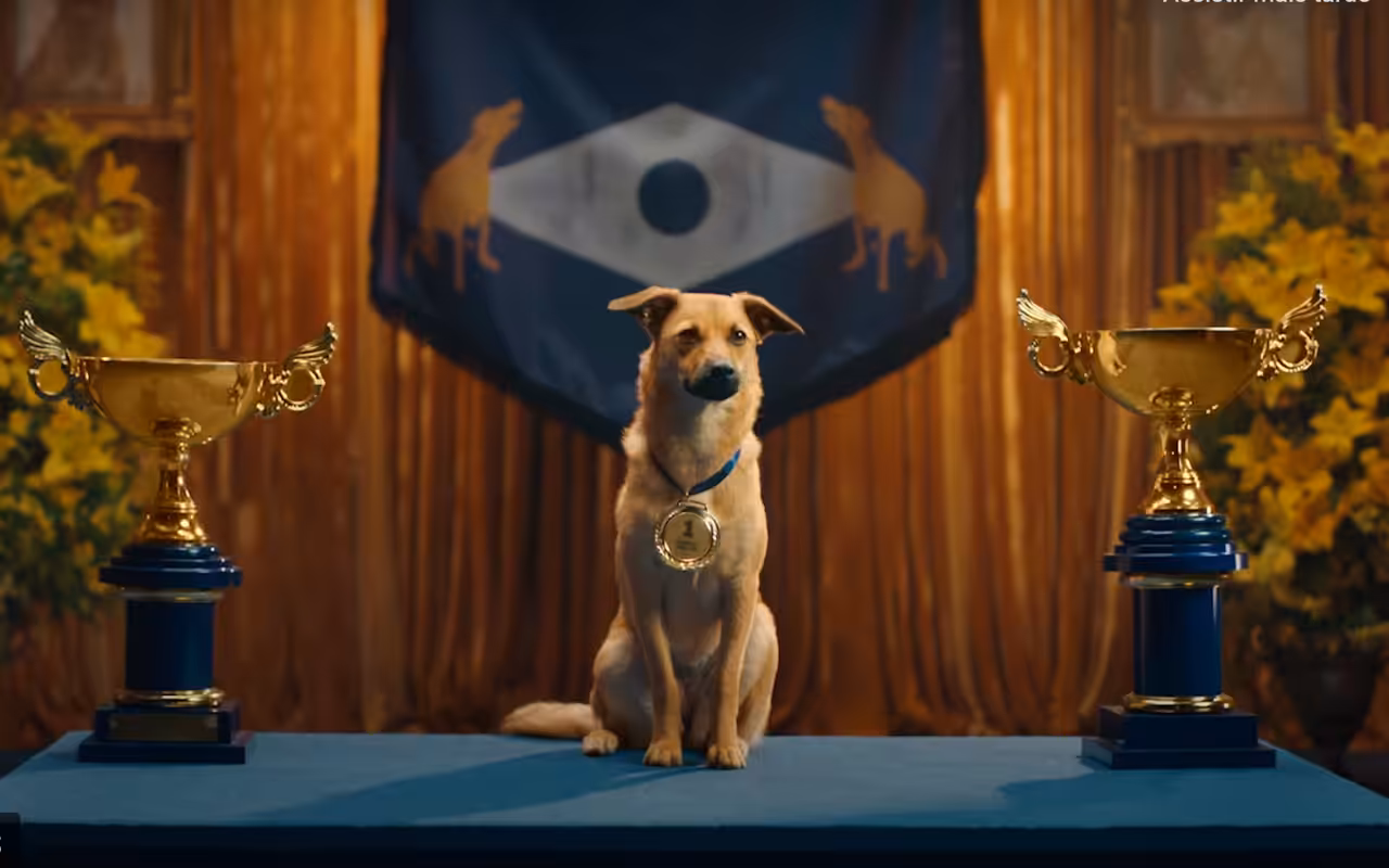 Pedigree homenageia o Vira-Lata Caramelo e lança campanha de adoção responsável