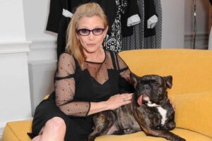 De Taylor Swift a Nicole Bahls: pets de famosos que conquistam o público e dominam as redes
