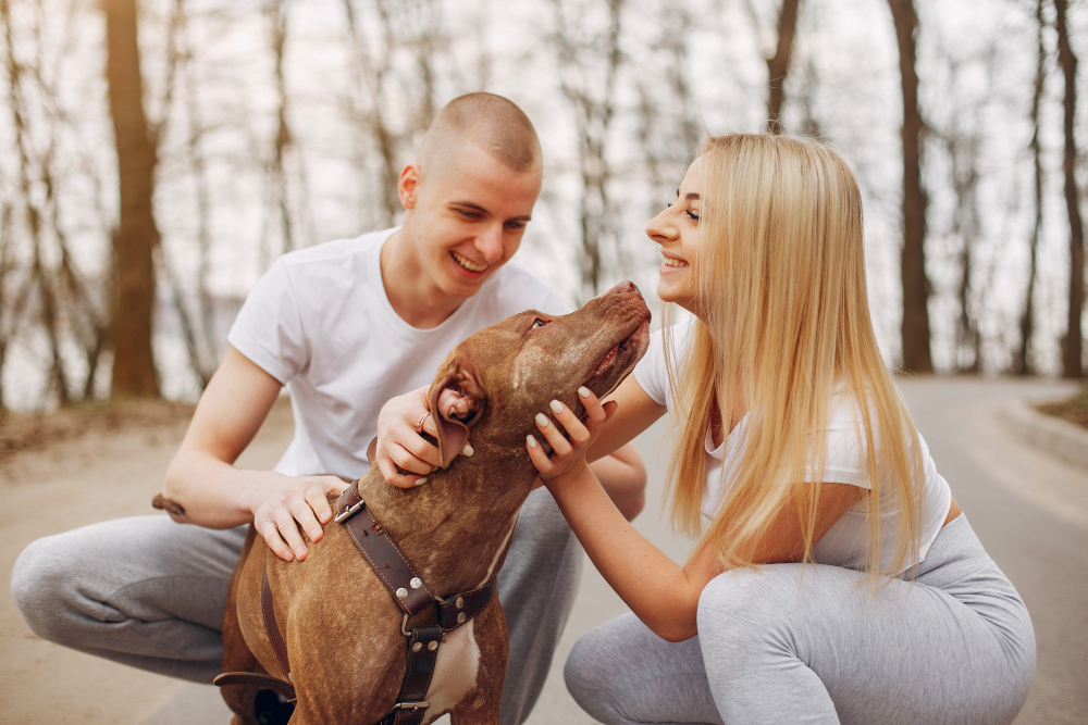 Me separei e agora? Com quem fica a guarda dos pets?