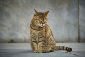 Mudar hábitos