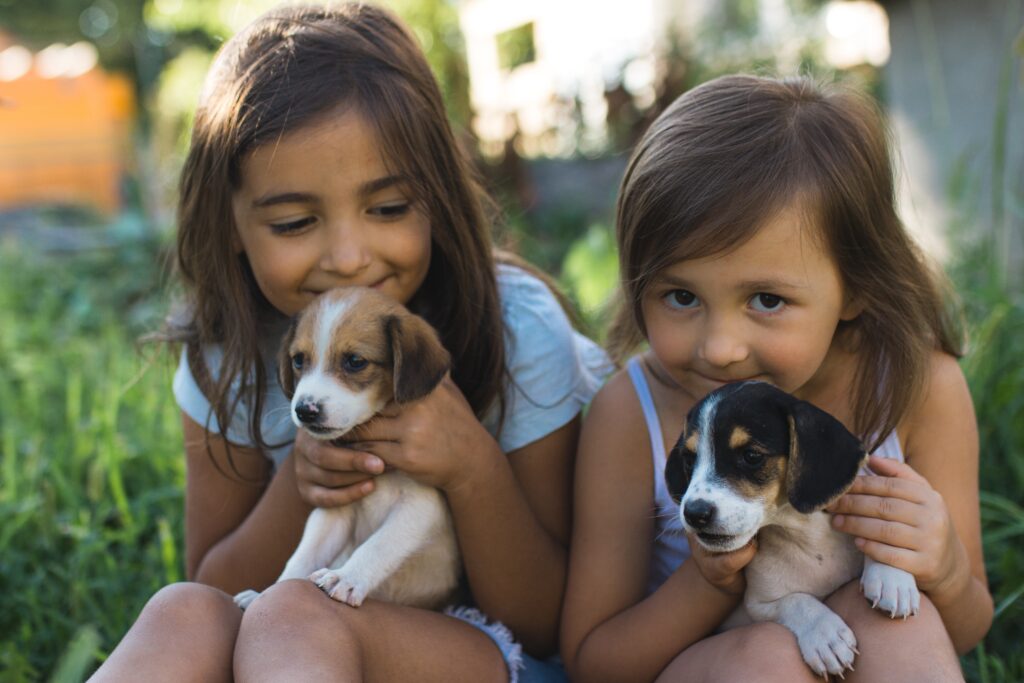 Children play with puppies. Children and puppies. Pets. Girls and puppies.