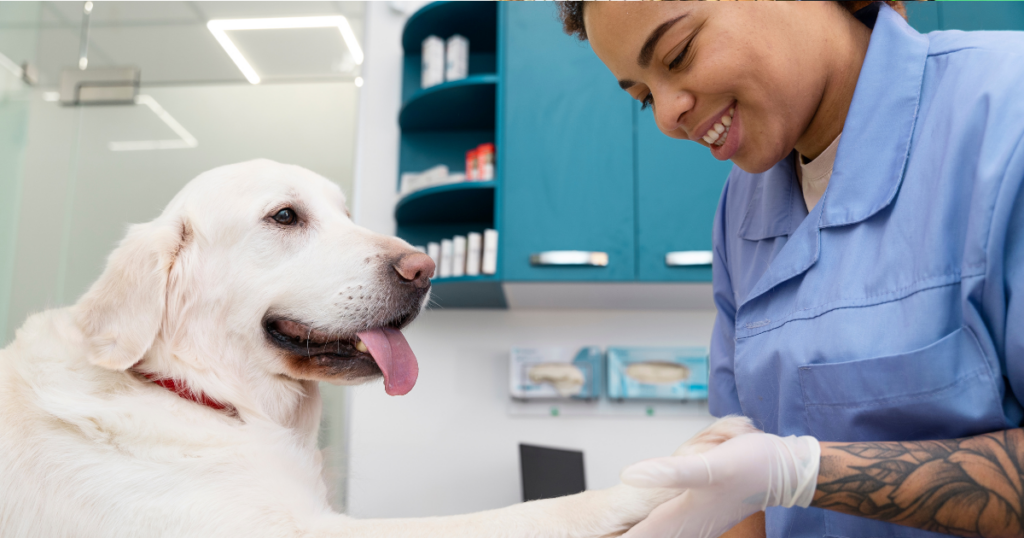 Homeopatia no tratamento de câncer em pets: estudo mostra sucesso em 95% dos casos