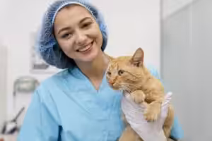 ONG oferece castração gratuita para cães e gatos vulneráveis no aniversário de São Paulo