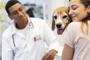 Manejo da hérnia umbilical em cães e gatos: o que precisa ser avaliado